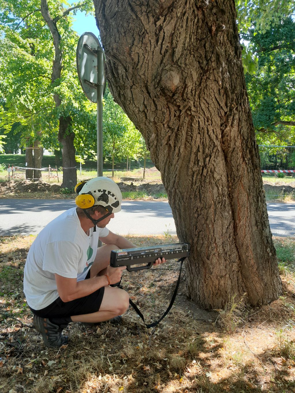 Arborista pri práci s prístrojovou technikou
